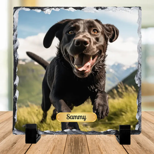 Individuelle Foto Schiefertafel - Hund - Schiefertafel
