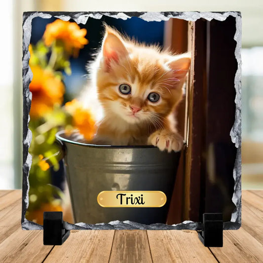 Individuelle Foto Schiefertafel - Katze - Schiefertafel